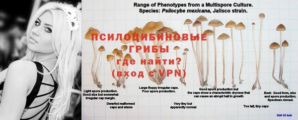 apvp Баксан